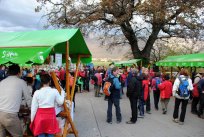 14. pohod po Vertovčevih poteh, november 2014