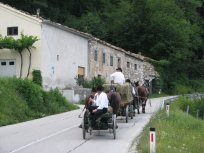 Konjska vprega na poti mimo stare gostilne pred Colom 