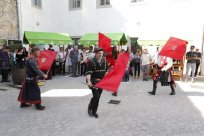 1. festival zelena Vipavski Križ 