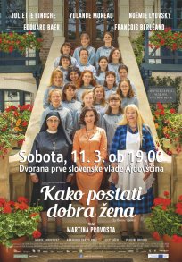 1-Plakat DOBRA ŽENA_PRESS preview.jpg
