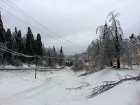Februar 2014, foto Alenka Tratnik, Primorske novice 