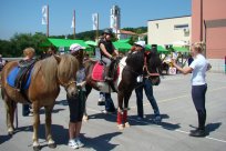 2 festival češenj Lokavec