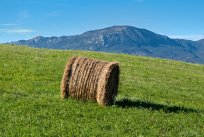 Pogled na pobočje Čavna in Kuclja z doline. Foto: Valter Kranjc.