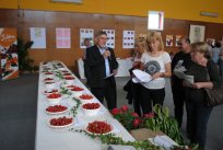 Po razstavi češenj je vodil Ivo Kodrič, strokovnjak za sadje iz KGZ NG. 