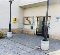 Na Dan za spremembe 2021 so po Ajdovščini zacveteli prav posebni tulipani. 