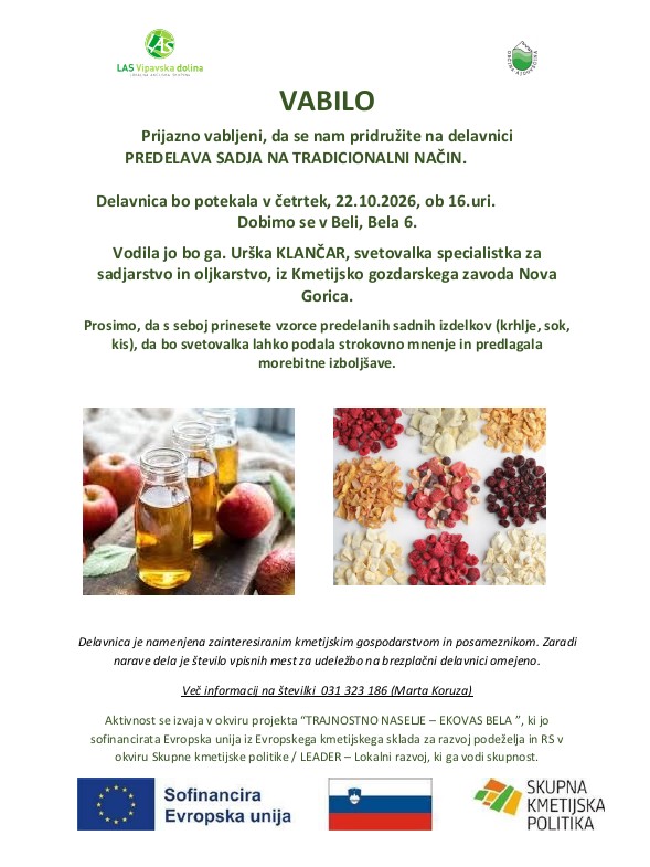 DELAVNICA PREDELAVE SADJA NA TRADICIONALNI NAČIN