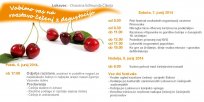 Festival češenj vabilo 2