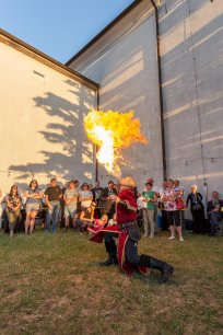 festival zelen2.jpg