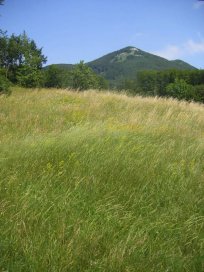 Pogled na Križno goro s Hrušice