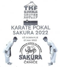 Karate_pokal_Sakura.jpg