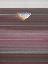 Kevin Krautgartner -In Full Bloom- 60x45 - Aerial photography (digital) - 2019.jpg