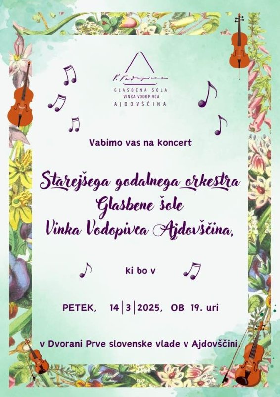 koncert godalnega orkestra.jpg