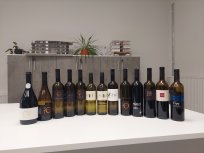 Vinski izbranci iz ocenjevanja v letu 2023 