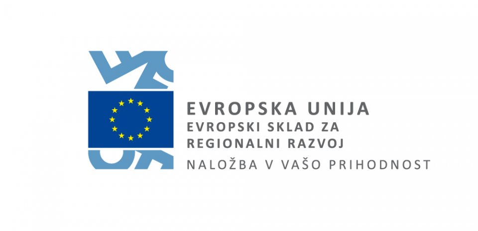 LOGO EU