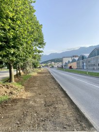 lokavec 
