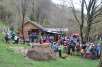 Mala Gora 