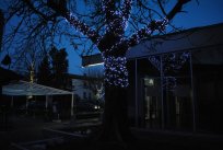 Novoletni trg, december 21012