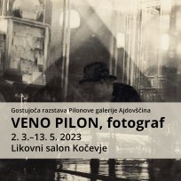 pilon