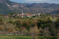 Pogled na Planino, vas s sedmimi zaselki se razteza vrh Vipavskih gričev