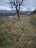 Zgornji odlomni rob plazu v Stomažu - plaz ni zelo velik, zaradi potencialne nevarnosti pa se bo nemudoma pristopilo k sanaciji. 
