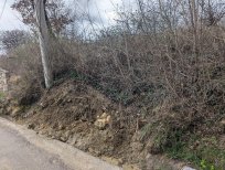 Plazina je zlezla vse do ceste, Komunalno stanovanjska družba jo že odstranjuje. 