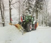Plužna služba na Gori 