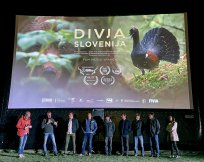 Foto: FB Divja Slovenija