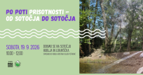 SOTOČJE