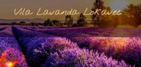 vila lavanda.jpg