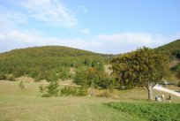 Vstajenje Primorske - Križna Gora 
