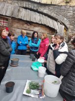 zeliščarska delavnica