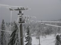 Foto Alenka Tratnik, Primorske novice