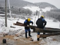 Foto Alenka Tratnik, Primorske novice 